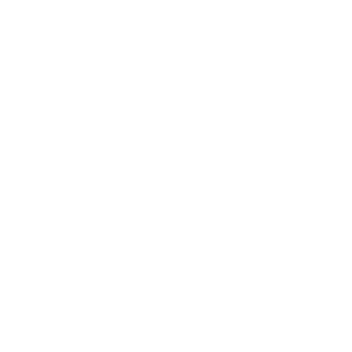 Logo de vianova aventura blanco